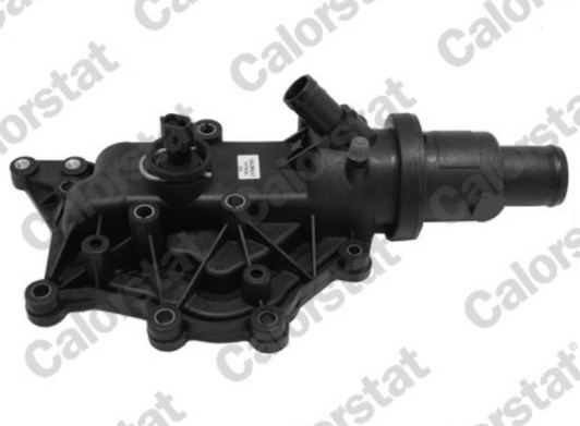 термостат з корпусом